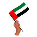 UAE flag
