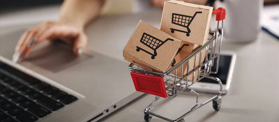 Ecommerce Platforms for Small Businesses