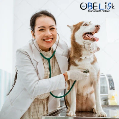 SEO for Pet Care