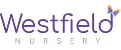 Westfield Nursery