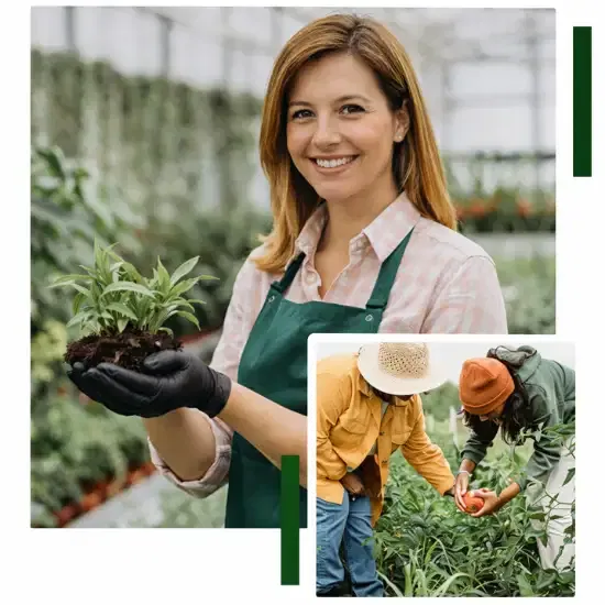 Why Florist SEO Is Different