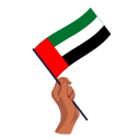 UAE flag