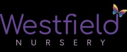 Westfield Nursery