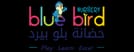 bluebird